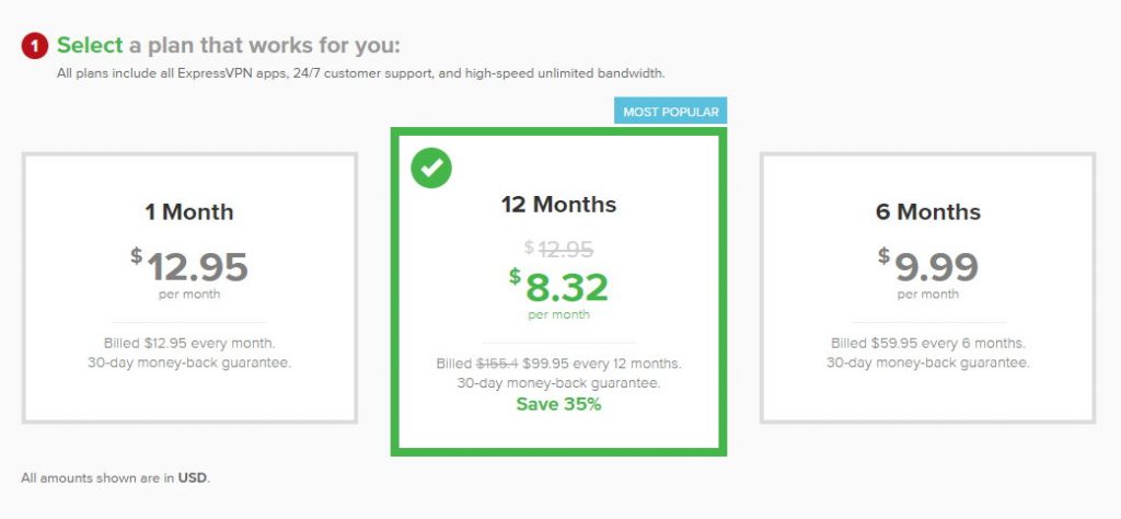 express vpn price table